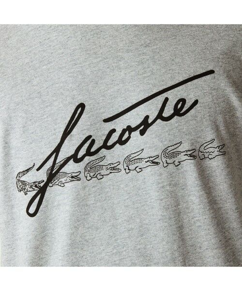 LACOSTE / ラコステ Tシャツ | スクリプトブランドネームロゴプリントTシャツ | 詳細8