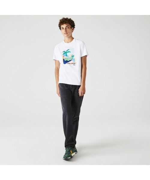 LACOSTE / ラコステ Tシャツ | リゾートプリントクルーネックTシャツ | 詳細3