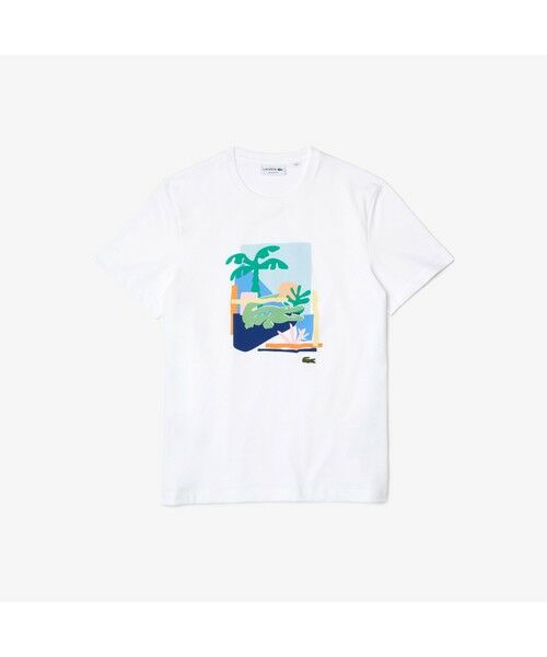 LACOSTE / ラコステ Tシャツ | リゾートプリントクルーネックTシャツ | 詳細4