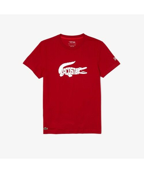 LACOSTE / ラコステ Tシャツ | 『ノバク・ジョコビッチ』ビッグロゴTシャツ | 詳細9