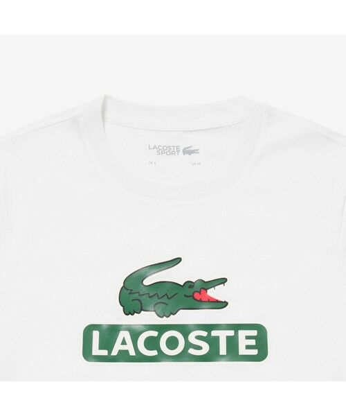 LACOSTE / ラコステ Tシャツ | コットンブレンドウルトラドライビッグロゴTシャツ | 詳細2