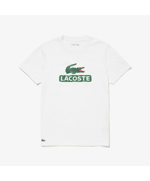 LACOSTE / ラコステ Tシャツ | コットンブレンドウルトラドライビッグロゴTシャツ | 詳細5