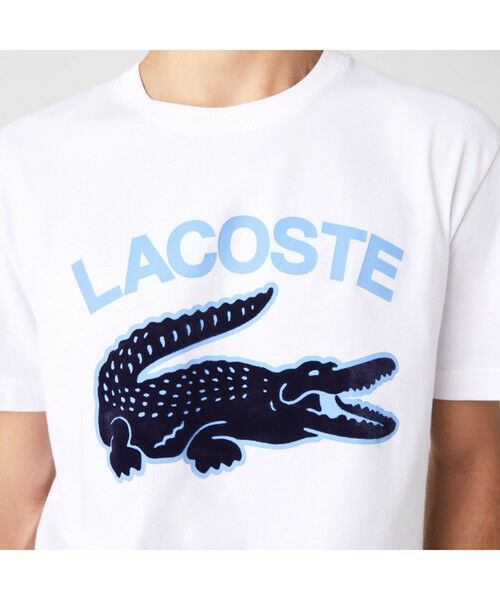 LACOSTE / ラコステ Tシャツ | カレッジプリントTシャツ | 詳細1