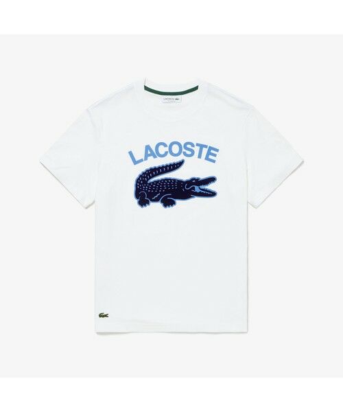 LACOSTE / ラコステ Tシャツ | カレッジプリントTシャツ | 詳細4