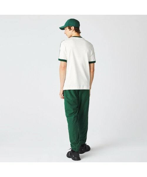 LACOSTE / ラコステ Tシャツ | コントラストラインTシャツ | 詳細1