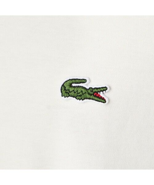 LACOSTE / ラコステ Tシャツ | コントラストラインTシャツ | 詳細3