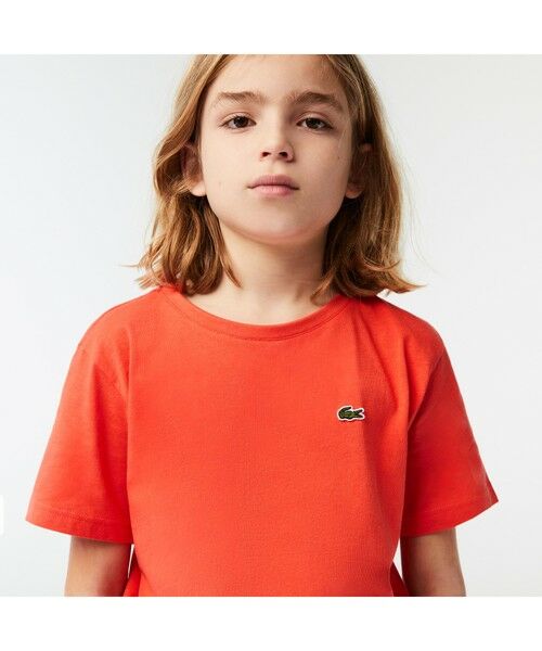 LACOSTE / ラコステ Tシャツ | Boys コットンジャージー クルーネックTシャツ | 詳細1