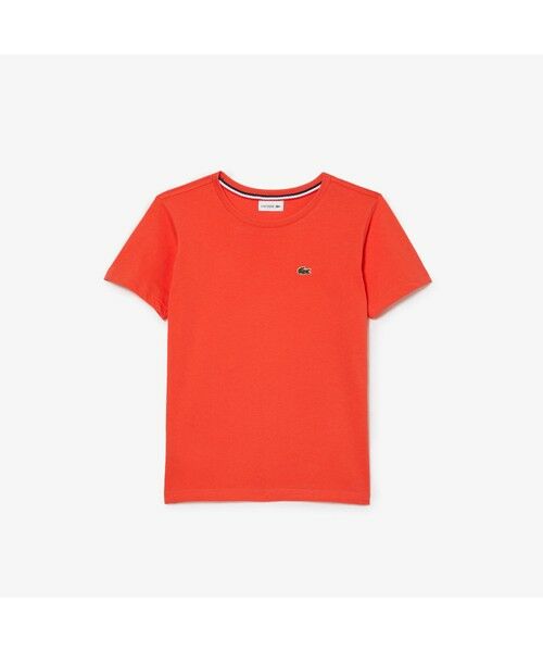 LACOSTE / ラコステ Tシャツ | Boys コットンジャージー クルーネックTシャツ | 詳細3