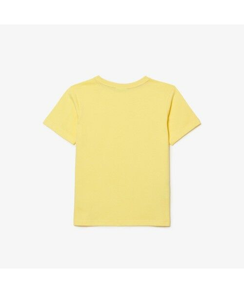 LACOSTE / ラコステ Tシャツ | Boys コットンジャージー クルーネックTシャツ | 詳細5