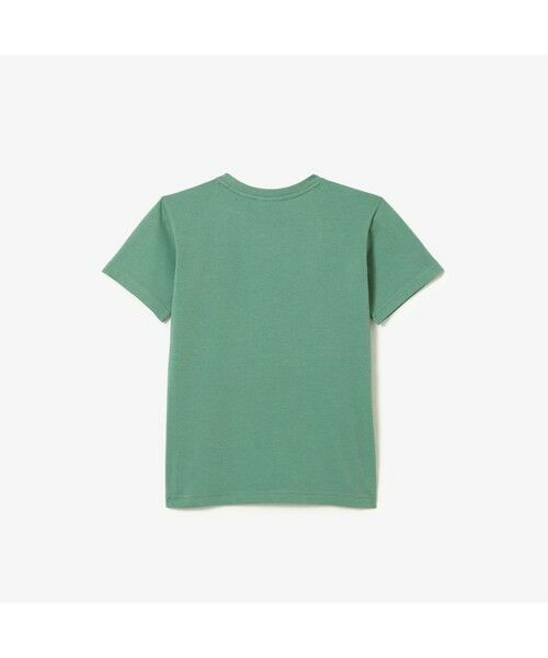 LACOSTE / ラコステ Tシャツ | Boys コットンジャージー クルーネックTシャツ | 詳細7