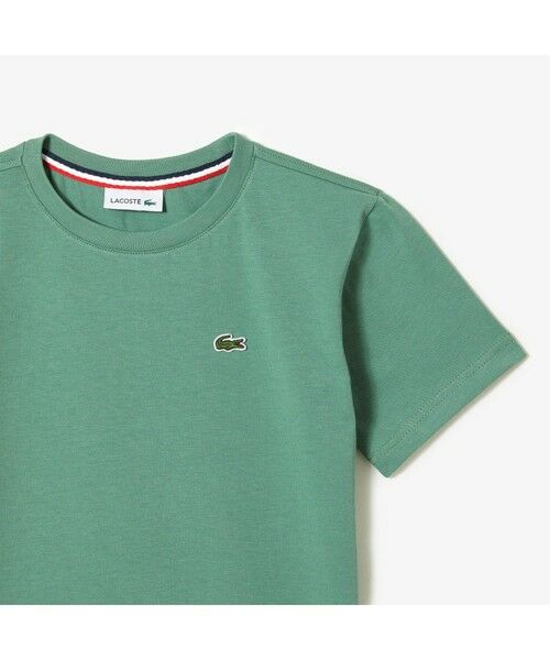 LACOSTE / ラコステ Tシャツ | Boys コットンジャージー クルーネックTシャツ | 詳細8