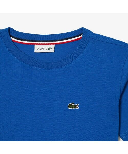 LACOSTE / ラコステ Tシャツ | Boys コットンジャージー クルーネックTシャツ | 詳細10