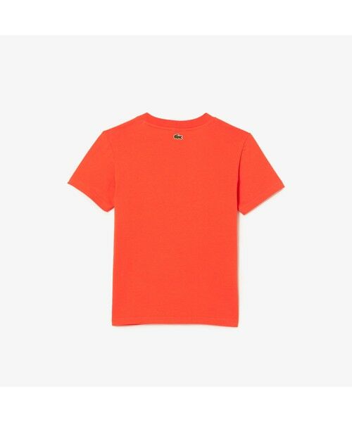 LACOSTE / ラコステ Tシャツ | BOYS アレンジグラフィックプリントクルーネックTシャツ | 詳細5