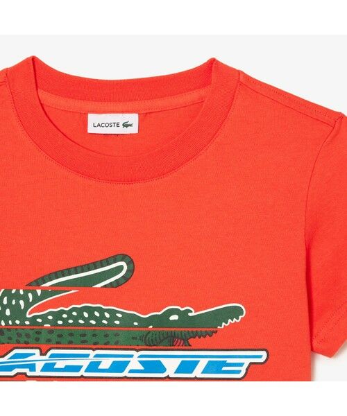 LACOSTE / ラコステ Tシャツ | BOYS アレンジグラフィックプリントクルーネックTシャツ | 詳細6