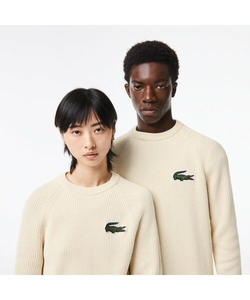 LACOSTE / ラコステ ニット・セーター | オーガニックコットンリブニットセーター | 詳細1