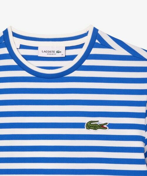 LACOSTE / ラコステ Tシャツ | ヘビーウェイト ワイドマリンボーダー半袖Tシャツ | 詳細20