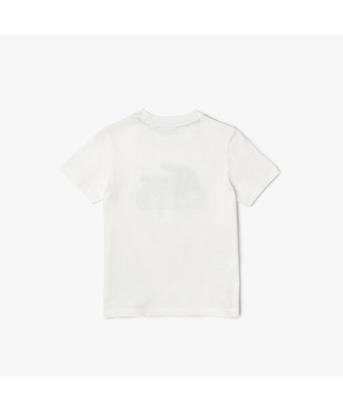 LACOSTE / ラコステ Tシャツ | BOYS ラバープリントTシャツ | 詳細4