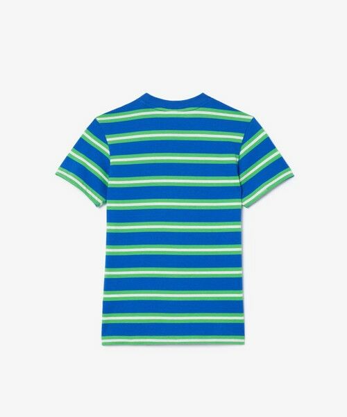 BOYS ボーダーTシャツ （Tシャツ）｜LACOSTE / ラコステ ファッション 