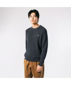 LACOSTE / ラコステ （メンズ） ニット・セーター | ファッション通販