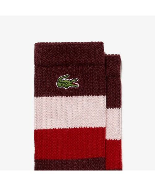 LACOSTE / ラコステ ソックス | ヘビーウェイトボーダーソックス | 詳細1