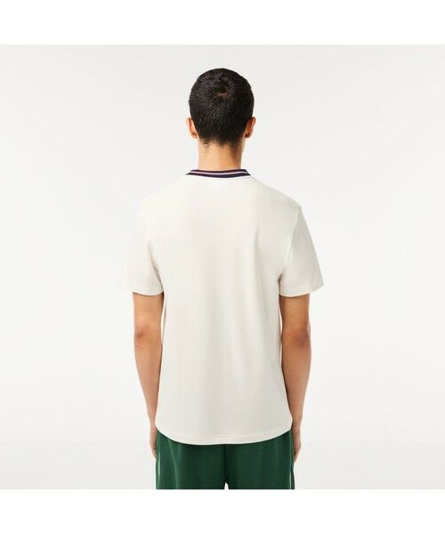 LACOSTE / ラコステ Tシャツ | ボーダーリブネック鹿の子地Tシャツ | 詳細8