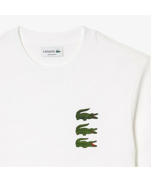 LACOSTE / ラコステ Tシャツ | タイムラインクロックプリントクルーネックTシャツ | 詳細1