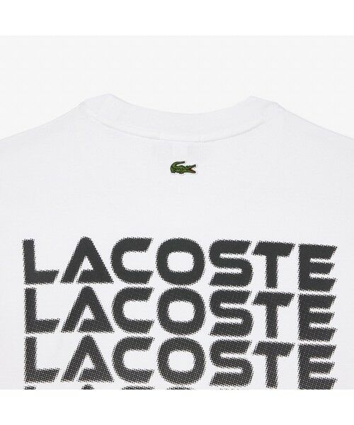 LACOSTE / ラコステ Tシャツ | グラデーションブランドネームロゴプリントロングスリーブTシャツ | 詳細3