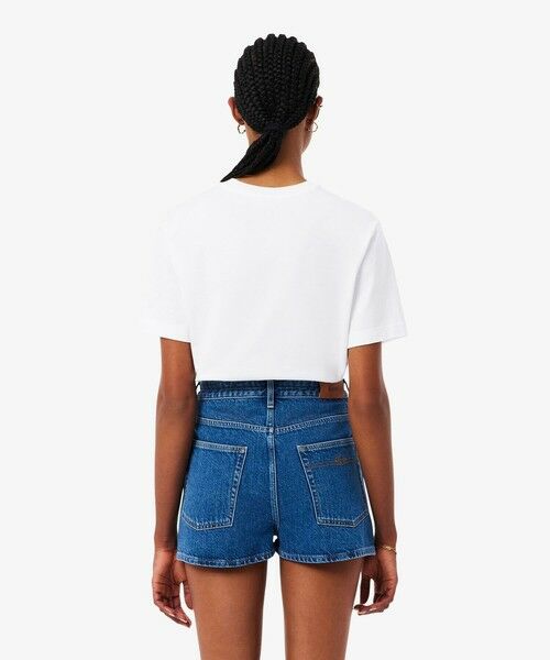 LACOSTE / ラコステ Tシャツ | ハイクオリティ ピマコットン仕立て ワンポイントソフトタッチ半袖Tシャツ | 詳細1
