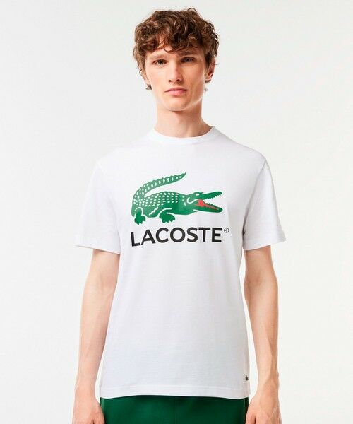 LACOSTE / ラコステ Tシャツ | ワニロゴグラフィックプリントTシャツ | 詳細3