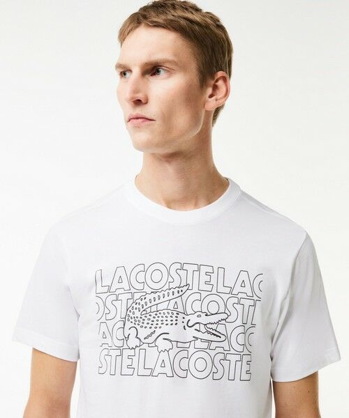 LACOSTE / ラコステ Tシャツ | ネーム＆ワニロゴグラフィックドライTシャツ | 詳細1
