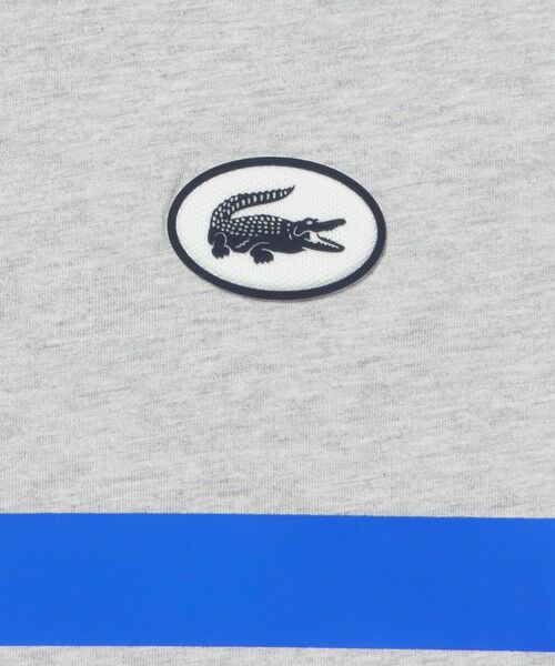 LACOSTE / ラコステ Tシャツ | フロントボーダーバックプリントTシャツ | 詳細15