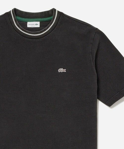 【LACOSTE】レーヨン混 テニスロゴ リブニット 半袖 Tシャツ LACOSTE tシャツ 配色リブニットインディゴ鹿の子 半袖Tシャツ