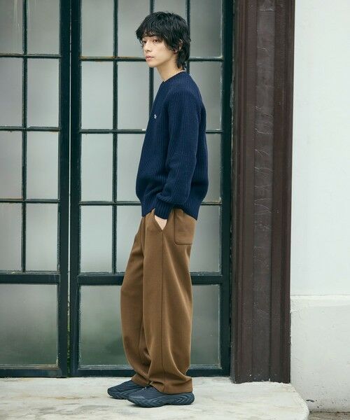 LACOSTE / ラコステ ニット・セーター | エッセンシャルローゲージニットセーター | 詳細17