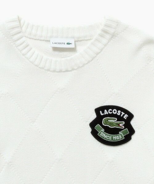 LACOSTE / ラコステ ニット・セーター | オーガニックコットン トーナルアーガイルニットセーター | 詳細15