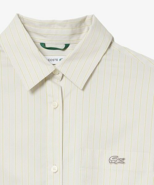 LACOSTE / ラコステ ミニ丈・ひざ丈ワンピース | マルチストライプシャツドレス / シャツワンピース | 詳細7