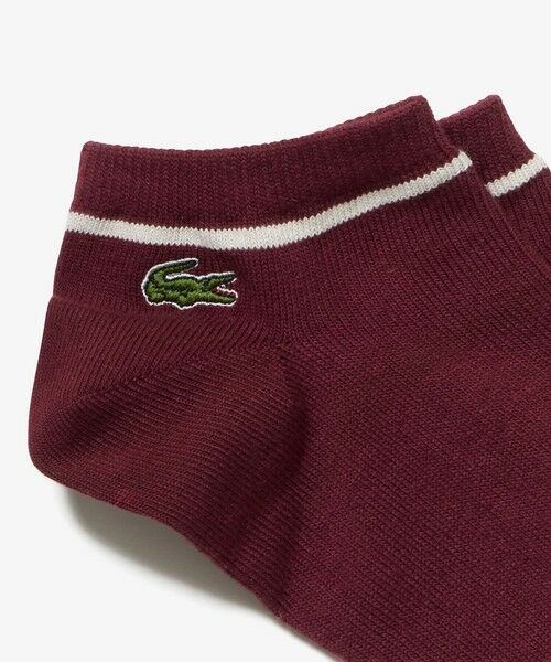 LACOSTE / ラコステ ソックス | 配色ラインくるぶし丈ソックス 25-27cm | 詳細6