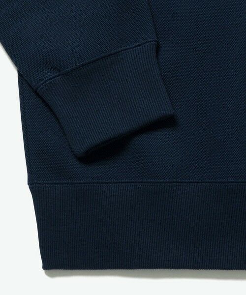 LACOSTE / ラコステ パーカー | 鹿の子ニットワントーンフーディー / 鹿の子ニットプルオーバーパーカー | 詳細14