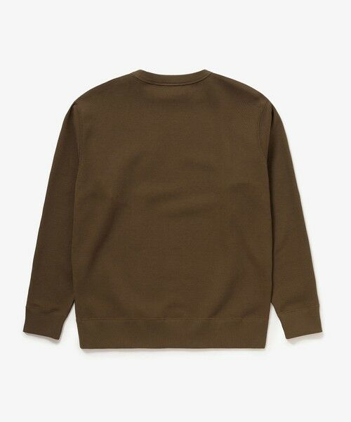 LACOSTE / ラコステ スウェット | ワントーンクルーネック 鹿の子ニット / 鹿の子スウェット | 詳細28