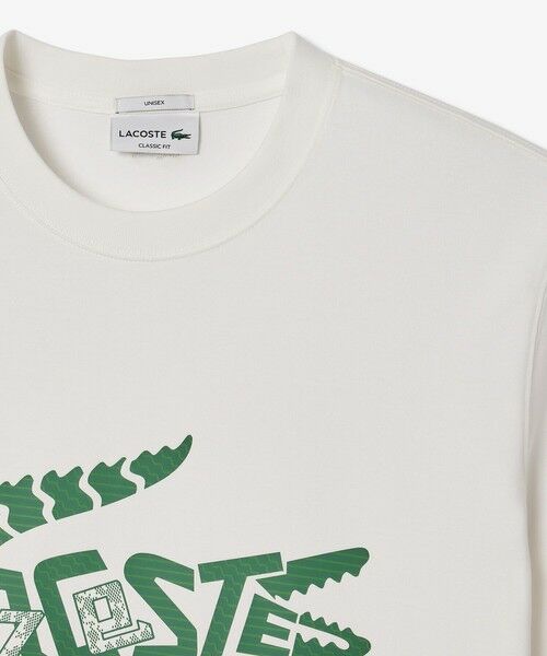 LACOSTE / ラコステ Tシャツ | TEE SHIRTS | 詳細2