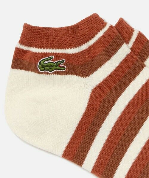 LACOSTE / ラコステ ソックス | マルチボーダーアンクルソックス | 詳細2