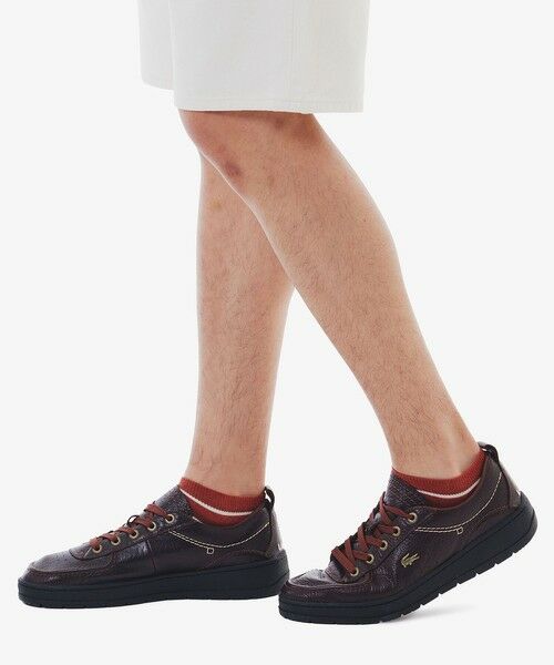 LACOSTE / ラコステ ソックス | マルチボーダーアンクルソックス | 詳細3