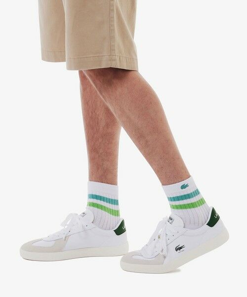 LACOSTE / ラコステ ソックス | ラインドアメリブショートソックス | 詳細10