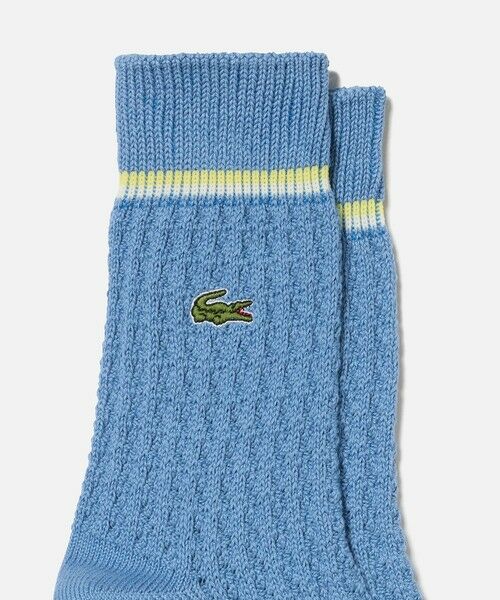 LACOSTE / ラコステ ソックス | メッシュニッティングソックス | 詳細1