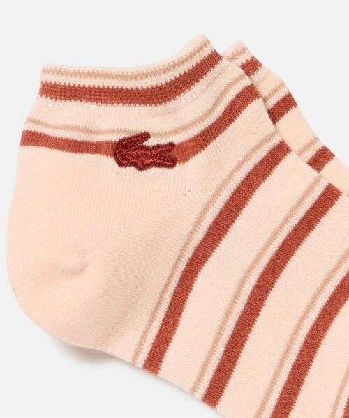 LACOSTE / ラコステ ソックス | ウィメンズマルチボーダーアンクルソックス | 詳細2