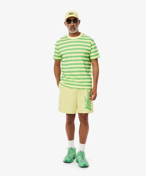 LACOSTE / ラコステ Tシャツ | グラデーションボーダーTシャツ | 詳細3