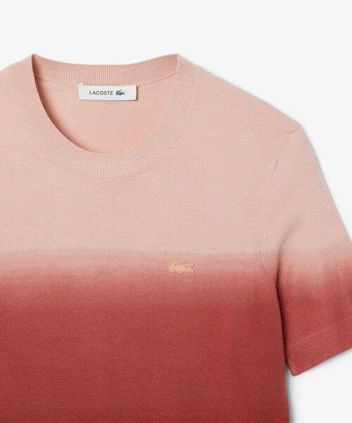 LACOSTE / ラコステ ニット・セーター | グラデーションニットTシャツ | 詳細8
