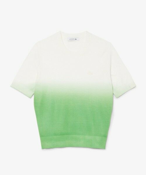 【半額】 セール】 グラデーションニットTシャツ （ニット・セーター トップス