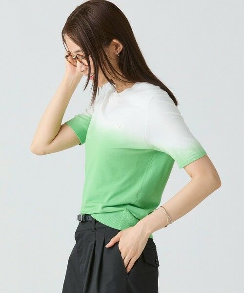 ドゥ・ユースピーク・ラコステ？●レタリング●LACOSTE●緑 ラコステ LACOSTE ベーシックボーダーTシャツ （グリーン