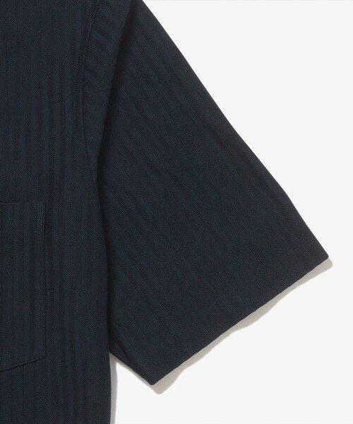 LACOSTE / ラコステ ポロシャツ | 鹿の子地切り替え同色ストライプボタンダウンポロシャツ | 詳細14