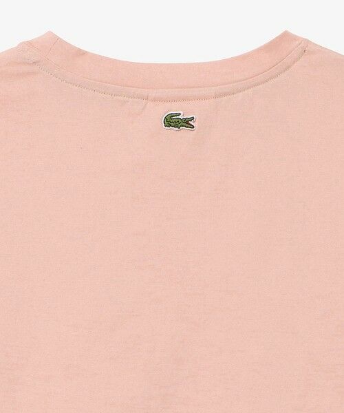 LACOSTE / ラコステ Tシャツ | ワイド&ショートネームステッチTシャツ | 詳細15